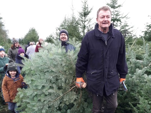 Event Christbaumsägen